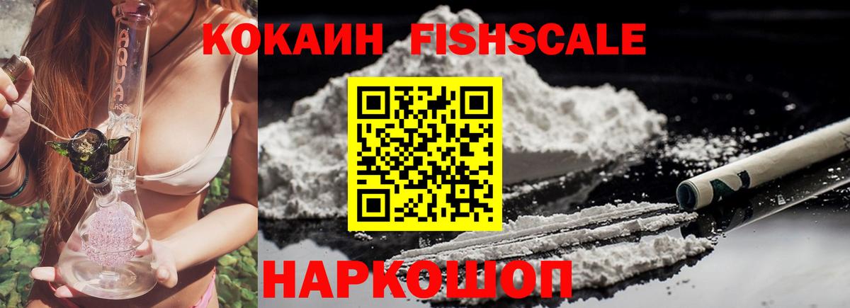 Cocaine FishScale  Вход с VPN  Котлас 