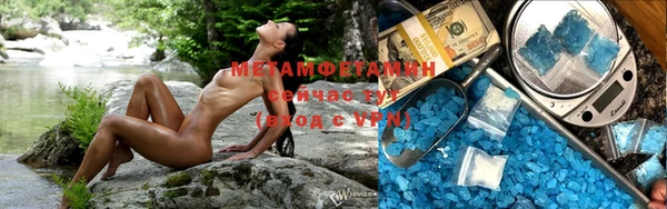 мдпв Пестово