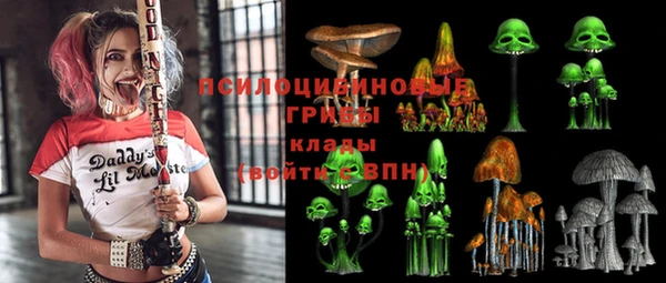 соль ск Осинники