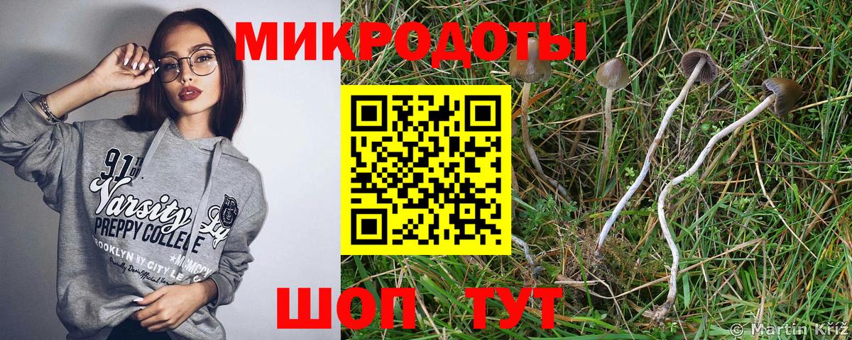 Котлас  магазин    Вход с VPN  Псилоцибиновые грибы Psilocybe 